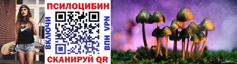 hydra ссылка Снежногорск Псилоцибиновые грибы мухоморы