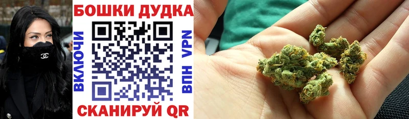 купить наркотик  OMG ТОР  Конопля гибрид  Снежногорск 
